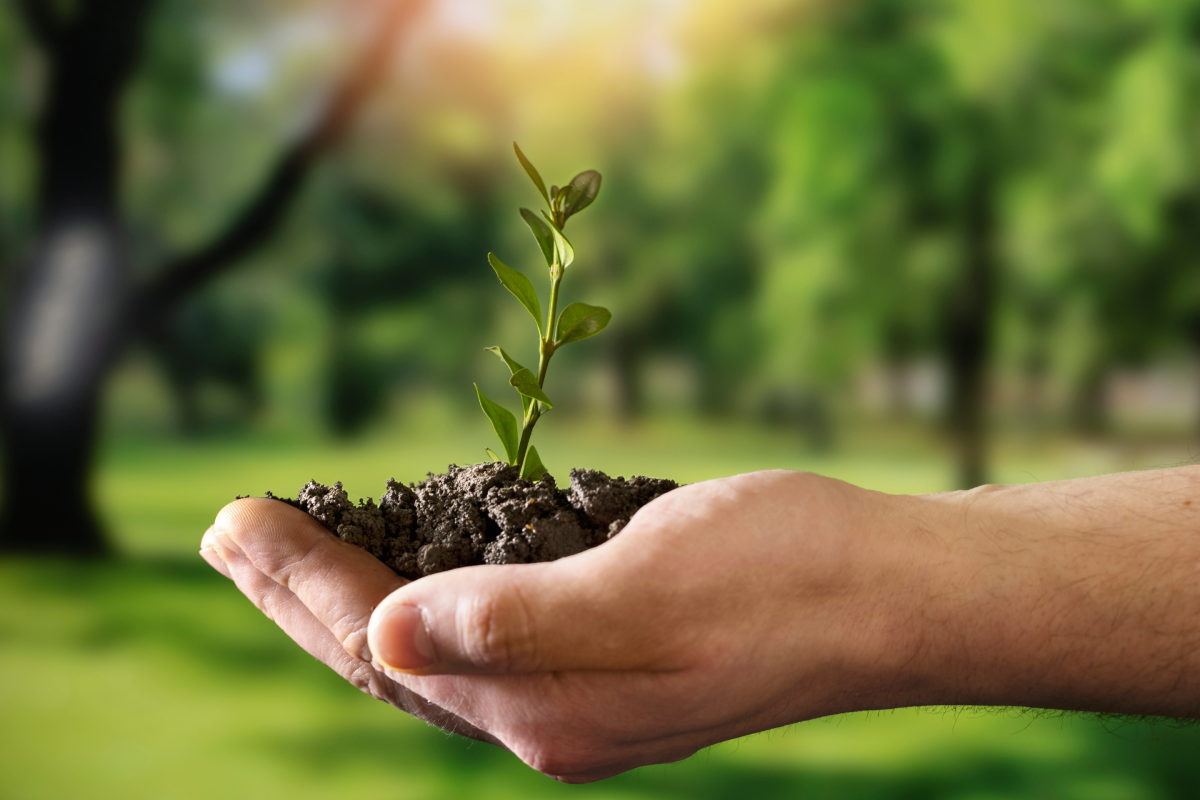 sustainable-development-goals-still-life